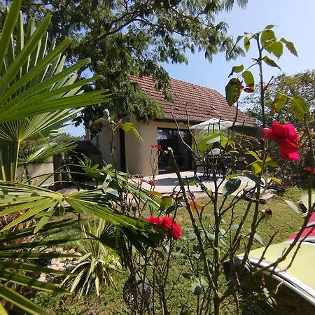 L'Albizia Gite Climatise St Maurice Saint-Maurice-en-Riviere Exterior photo