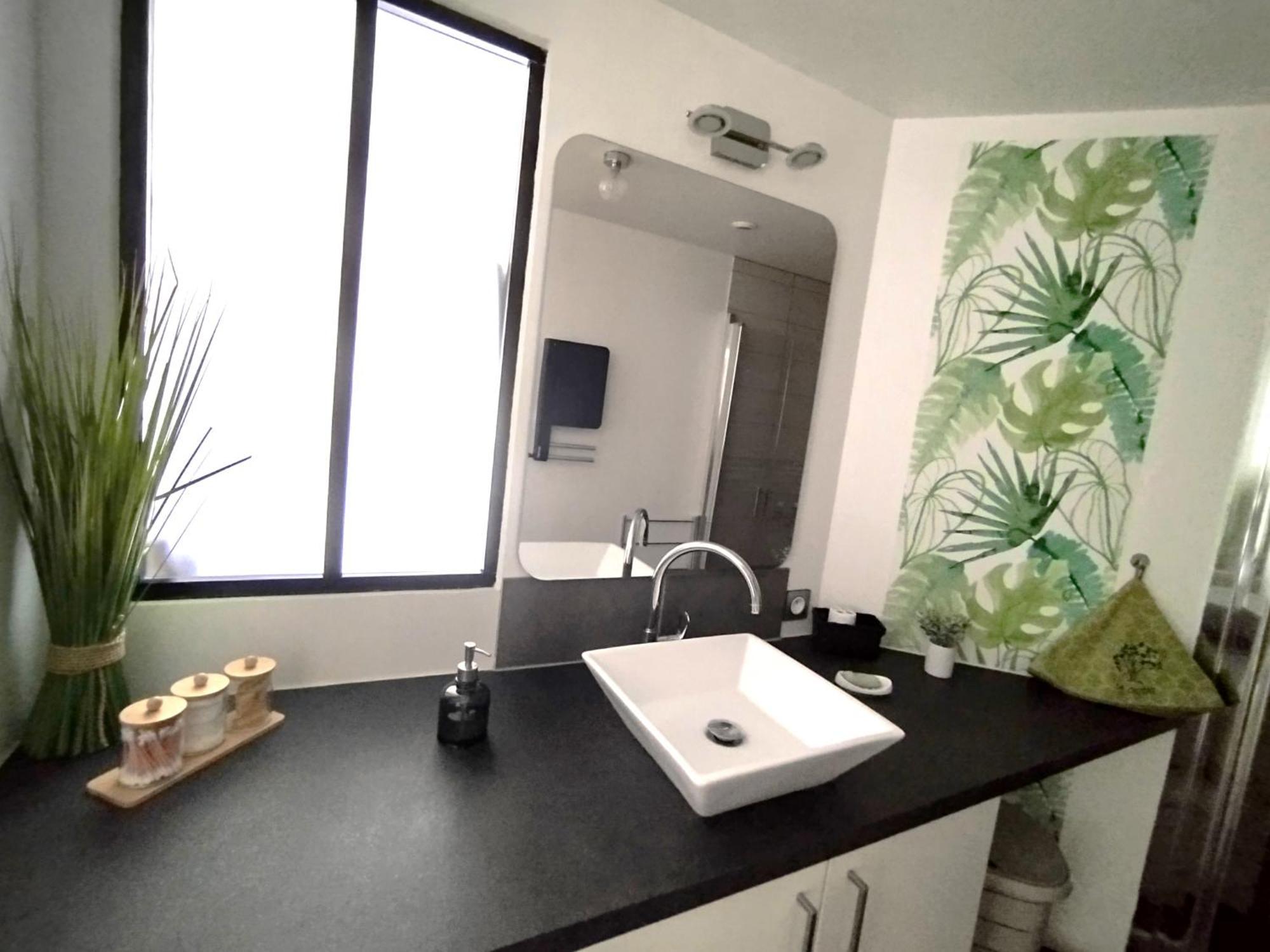 L'albizia Climatise St Maurice Holiday home *